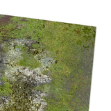 2x2 - Hemiboreal Ruins