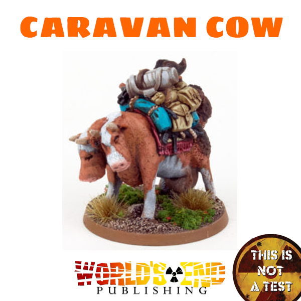 This is not a Test - Caravan Cow