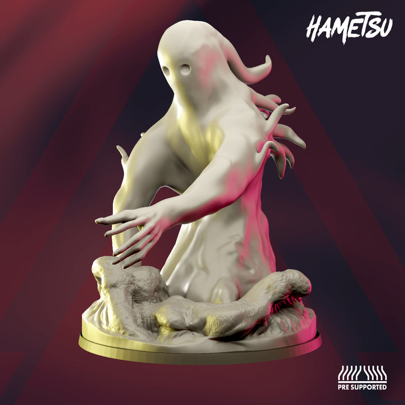 Hametsu - Umibozu - Raid Boss - DIGITAL STL